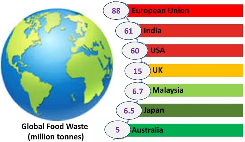 pictorial data of food waste around the world